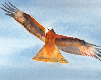 Red Kite Card a Handmade Watercolor Bird Lovers Card,