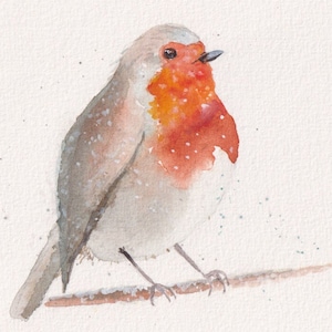 May include: Watercolor painting of a European robin perched on a branch. The bird has a red breast, gray wings, and a light gray head. The background is a soft white, and the bird is painted with delicate brushstrokes.