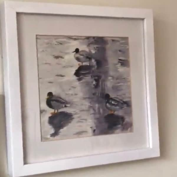 Bird Art Framed Original Watercolour