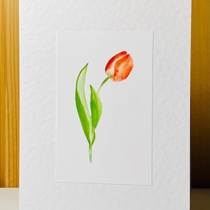 Glorious Red Tulip - a Handmade Watercolour Flower Card - birthday card