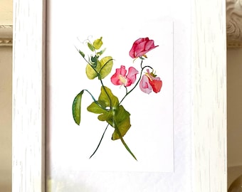 Sweet Pea Botanical Print: Framed Floral Art, White Wood Frame (7x5 inches)
