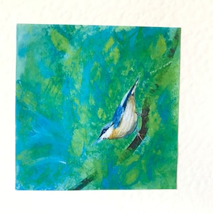 Nuthatch Bird Art Handmade Cards: Nature Greeting Cards for all occasions