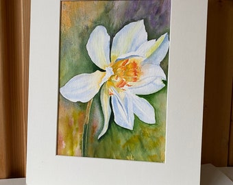 Daffodil Watercolour an original painting of a Narcissus flower A beautiful piece of home decor