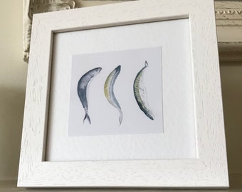 Stampa incorniciata fatta a mano ad acquerello di tre piccoli pesci di tre sgombri, un bel regalo per il tuo pescatore