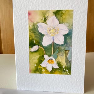 Anémone - Anémone du Japon - cartes de voeux artistiques faites main - parfaites pour une femme qui aime les fleurs