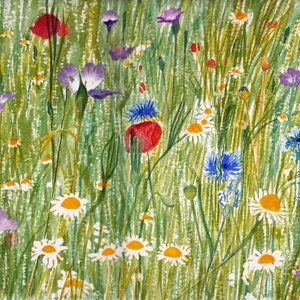 Wildflower Meadow - a celebration of English Wildflowers - very pretty Handmade Watercolour Cards - perfect birthday card for her