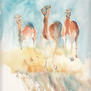Biglietti d'auguri con cammelli da corsa acquerellati fatti a mano, arte animale affascinante, disponibili in due misure