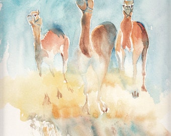 Handmade watercolour Racing Camel Cards two sizes available
