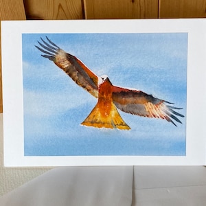 Rode wouw, een prachtig groot formaat 7 x 5 inch handgemaakte aquarel personaliseerbare wenskaart
