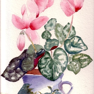 Cyclamen - cartes aquarelles faites main fleurs roses
