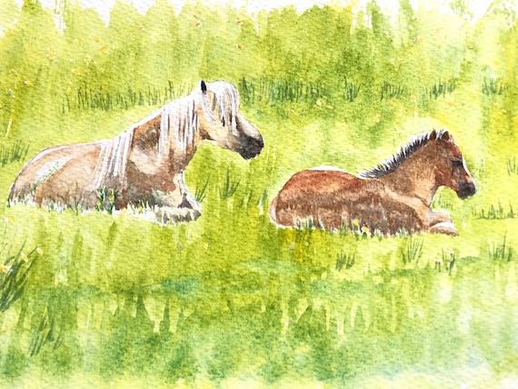 Original watercolor painting  8x10 Icelandic Pony Horse unframed