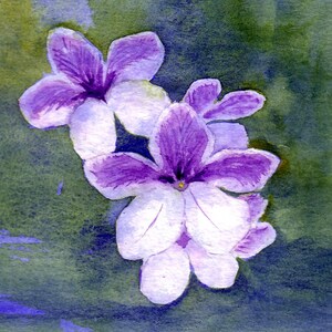 Tarjetas de notas con flores de estreptocarpo púrpura: tarjetas de cumpleaños hechas a mano con acuarela