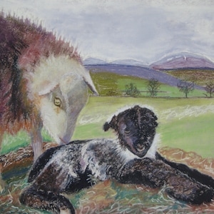 Herdwick Schafe - Herdwick Schafe - handgefertigte Kunst Karten - Schön für Freunde und Familie