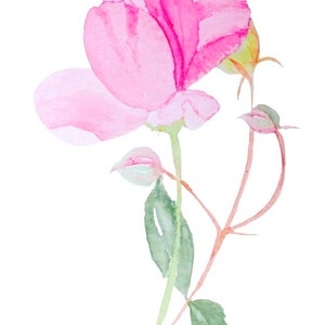 Sweet Small Gift of Pretty Pink Rose Watercolour Handmade Cards image 2