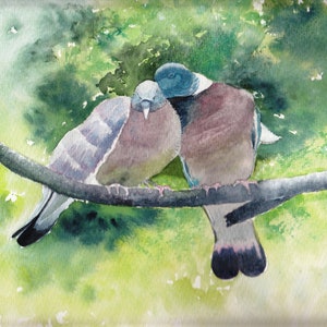 Handgemaakte aquarel vogelkaarten set van zes geassorteerd