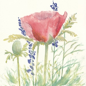 Flor de papoula rosa com jacintos de uva azuis - lindos cartões de felicitações em aquarela feitos à mão