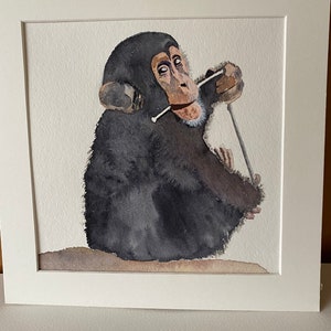 Il cucciolo di scimpanzé dipinto ad acquerello originale della fauna selvatica è stato venduto in aiuto di un ente di beneficenza di salvataggio