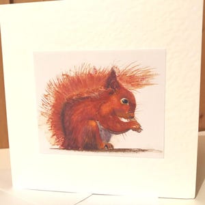 May include: A square greeting card featuring a centered illustration of a red squirrel with a bushy tail, depicted in profile. The squirrel is rendered in shades of orange and brown, shown sitting and holding a small object in its front paws.
