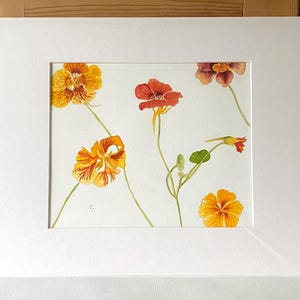 May include: Watercolor painting of orange and yellow nasturtium flowers with green stems and leaves, set against a white background. The artwork is matted in a white frame.