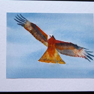 Red Kite - a Fabulous Bird Art Card -  a Handmade Watercolor Bird Lovers Card, Eagle in flight