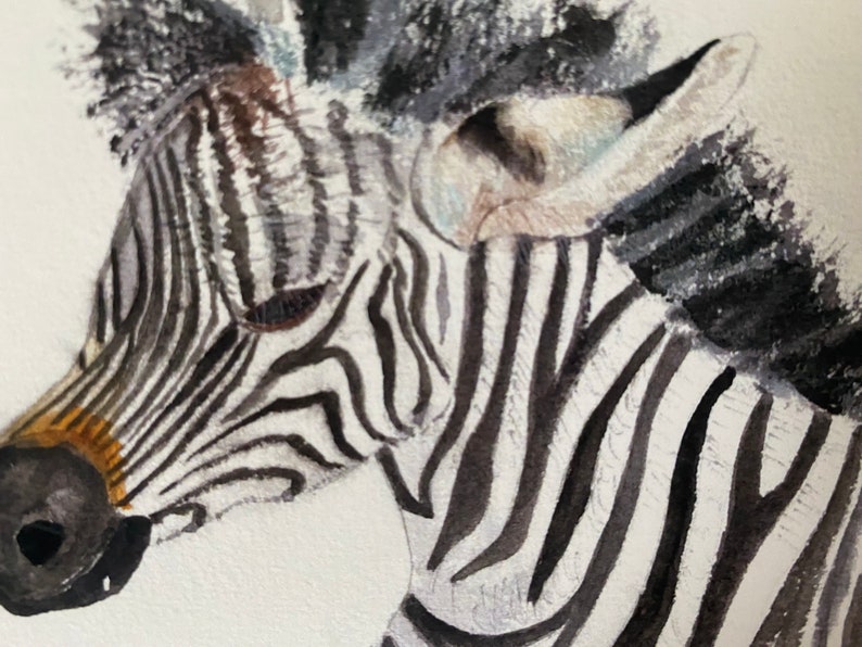 Zebra Handmade Watercolour Greeting Card, measures 7 x 5 inches, perfect for a Special Birthday image 4