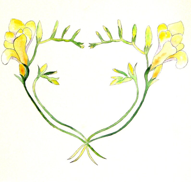 May include: Watercolor painting of yellow freesia flowers arranged in a heart shape. The flowers have delicate yellow petals and green stems and leaves. The artwork is set against a white background.