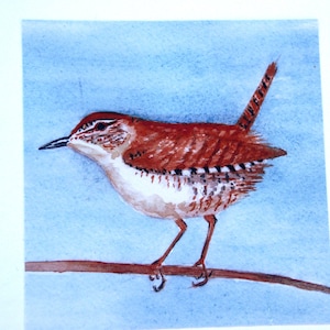 Tarjetas de arte con aves en acuarela hechas a mano, un juego de seis tarjetas de notas, hechas a pedido