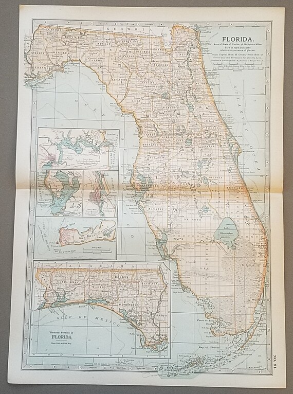 Tampa Florida Zip Code Map