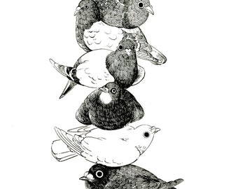 Art Print - "Pigeon Stack" - 4x6 pigeon dove cute bird illustration