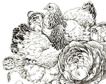 Art Print - "Chonky Chooks" - 6x8 brahma chicken peonies nature illustration