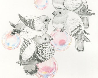 Art Print - "Pigeon Bubbles" - 8x10 rock pigeon dove columbidae paloma nature illustration