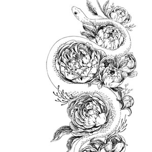 Art Print Snek & Peonies 6x8 snake serpent flowers nature illustration image 3