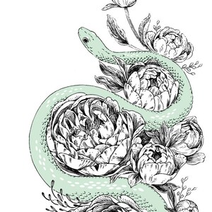 Art Print Snek & Peonies 6x8 snake serpent flowers nature illustration image 2