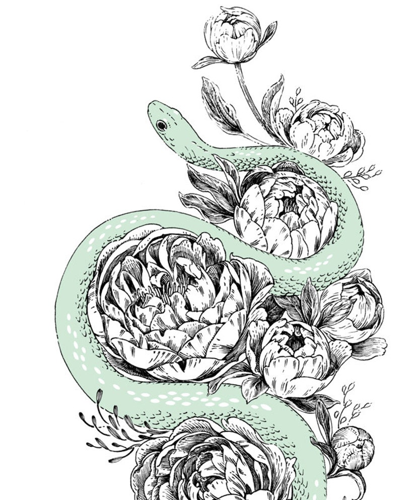 Art Print Snek & Peonies 6x8 snake serpent flowers nature illustration image 2