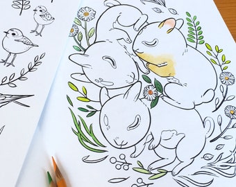 Fundraising Coloring Book - "Wetlands & Wildlife Friends"