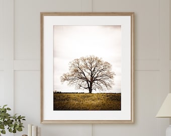 Rustic Oak Tree in the Field Early Spring Landscape Photography Art Print, Canvas or Frame. Serene Rustic Farmhouse Home Decor Artwork.