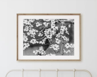 Dogwood Floral Wall Art Print or Canvas. Neutral Wall Art Home Decor. Black & White Floral Nature Wall Art. Dogwood Tree Blooms Rustic Art.