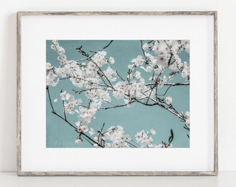 Shabby Chic Teal Blue Floral Wall Art Print or Canvas Wrap. Turquoise Cherry Blossoms Flower Art for Nursery, Bedroom or Bathroom Decor.