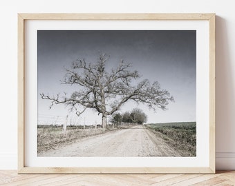 Rustic Oak Tree over a Country Dirt Road Landscape Photography Art Print or Canvas. Rustic Farmhouse Home Decor Artwork. Wood Print Wall Art