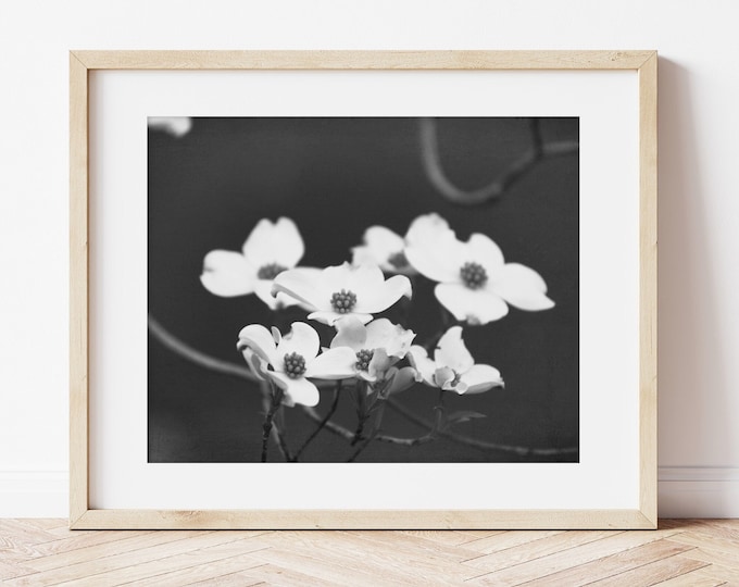 Black & White Floral Print, Dogwood Tree Photography, Rustic Floral Print, Framed Floral Print, Black and White Floral Canvas, Framed Flower