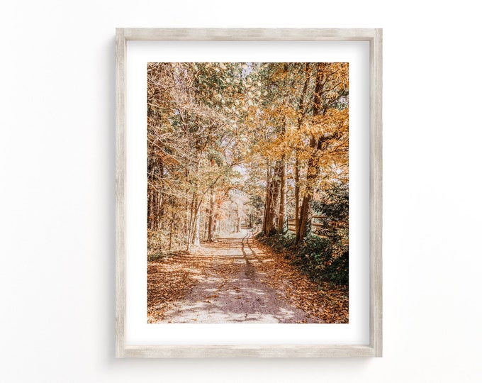 Lane with Autumn Colors on Signal Mountain Tennessee Photography Wall Art Decor Canvas or Print. Serene Country Lane Golden Wall Art.