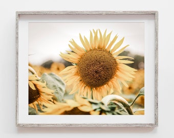 Sunflower Wall Art Photography Print or Canvas. Flower Wall Art for Bedroom, Bathroom or Living Room Decor. Country Floral Gift for Her.