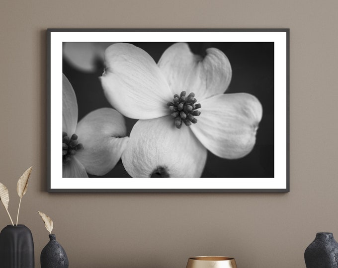 Dogwood Tree Flower Wall Art Print or Canvas. Neutral Wall Art Home Decor. Black & White Floral Nature Wall Art. Dogwood Blooms Rustic Art.