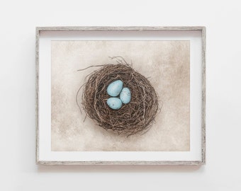 Cottage Chic Nursery Decor Print or Canvas. Shabby Chic Bird's Nest with Eggs Print. French Country Wall Art for Bedroom. Gift for Her.