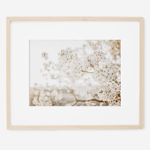 Rustic White Floral Print, Nature Photography, Neutral Wall Art, Rustic Home Decor, Bone White Art, White Flower Picture, Custom Framed Art image 1