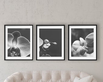 Black & White Orchid Prints, Floral Photography, Flower Pictures, Floral Wall Art, Black and White Art, Shabby Chic, Black Flower Canvas Set