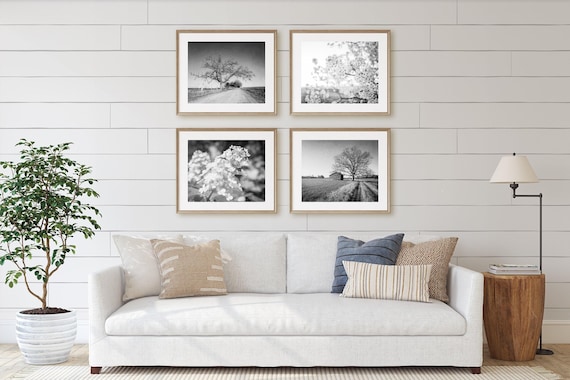 Rustic Landscape Photography, Farmhouse Prints, Floral Prints, Neutral Home Decor, Country Print Set, Also Available on Canvas, Metal & Wood