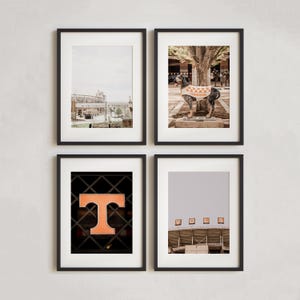 UT Knoxville Art Print Set. Tennessee Vols Photography. Neyland Stadium, Smokey, VOLS Sign Prints. Knoxville Tennessee Discounted Print Set.