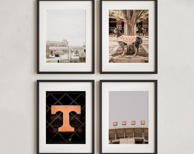 UT Knoxville Art Print Set. Tennessee Vols Photography. Neyland Stadium, Smokey, VOLS Sign Prints. Knoxville Tennessee Discounted Print Set.