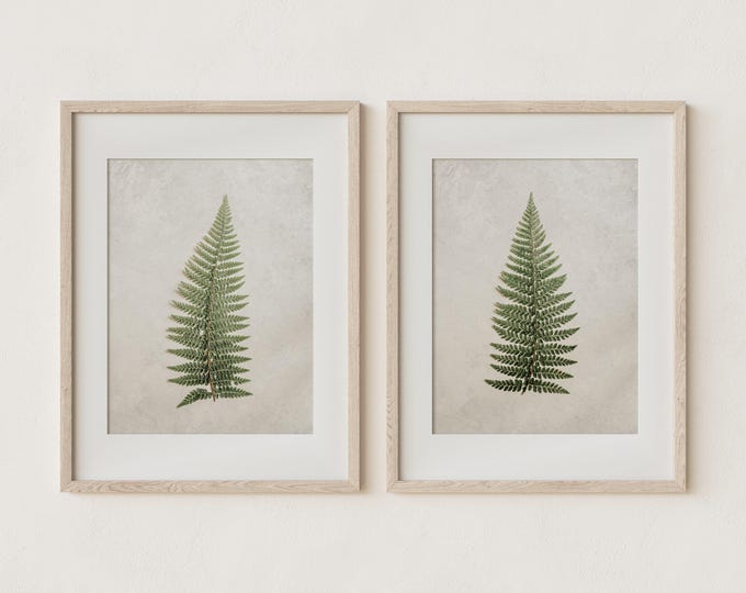 Botanical Wall Art Print and Canvas Set with Neutral Tones and Vintage Textures. Fern Study Print Set for Cottage or Farmhouse Decor.